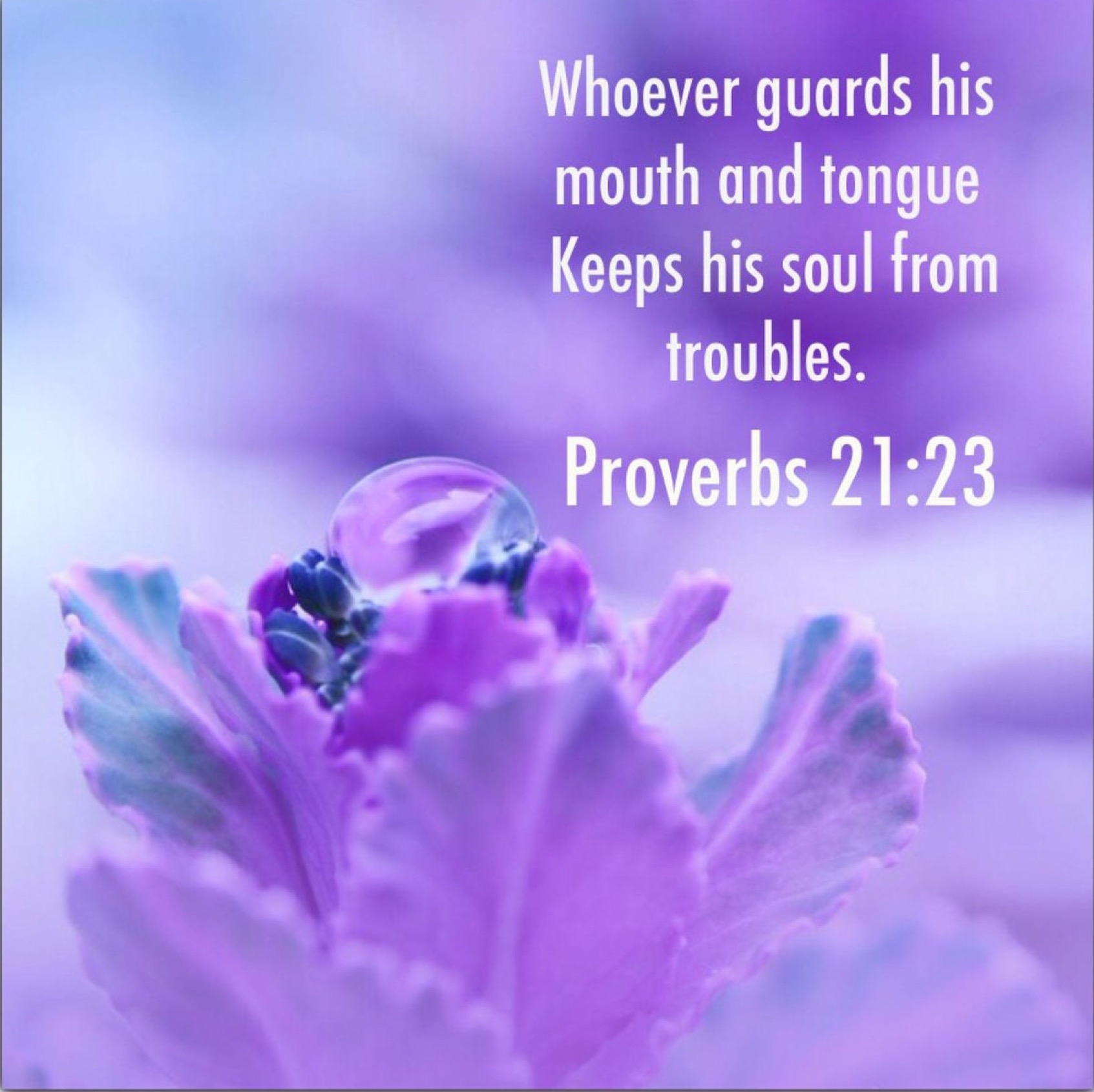 Proverbs